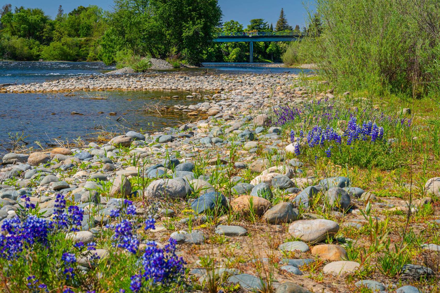 Rancho Cordova